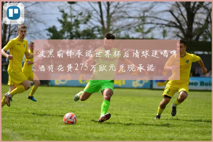 波黑前锋承诺世界杯后请球迷喝啤酒将花费275万欧元兑现承诺