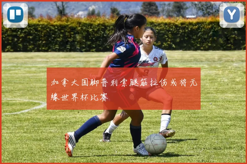 加拿大国脚普利索腿筋拉伤或将无缘世界杯比赛